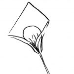fleurs en papier crepon: étape 1